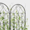 Miniatyrbillede 8 af 10: Rootz Metal Trellis Set - Rose Grille - Klatring Plant Support - Rust -Free - Forbedrer haven æstetik - 50x150 cm, sort