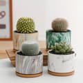 Miniatyrbild 2 av 2: Saftig Keramikkruka Set, 4-Pack, Oregelbunden Formdesign,4Pack