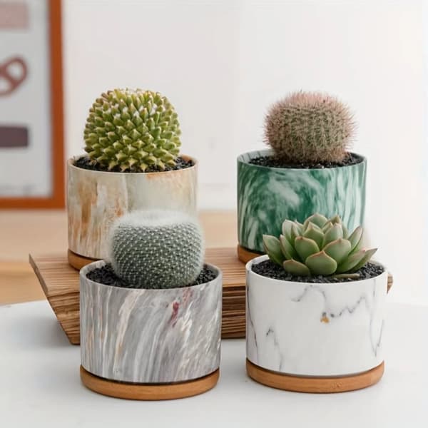 Saftig Keramikkruka Set, 4-Pack, Oregelbunden Formdesign,4Pack