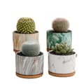 Miniatyrbild 1 av 2: Saftig Keramikkruka Set, 4-Pack, Oregelbunden Formdesign,4Pack