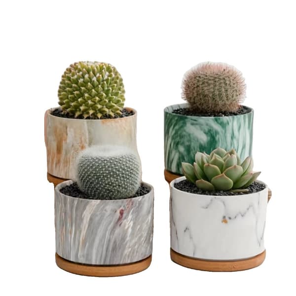 Saftig Keramikkruka Set, 4-Pack, Oregelbunden Formdesign,4Pack