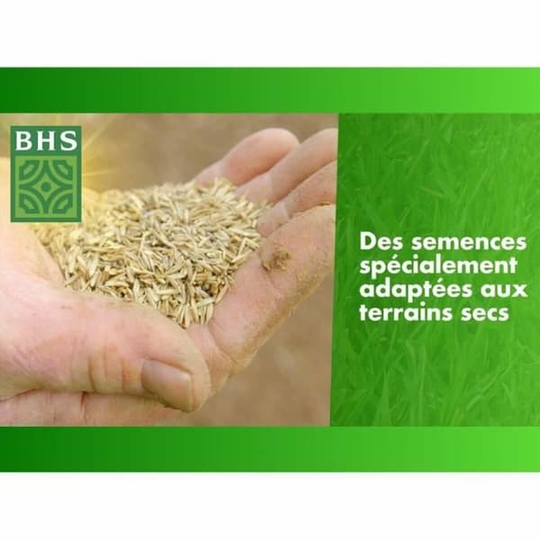 Frön BHS 3 Kg