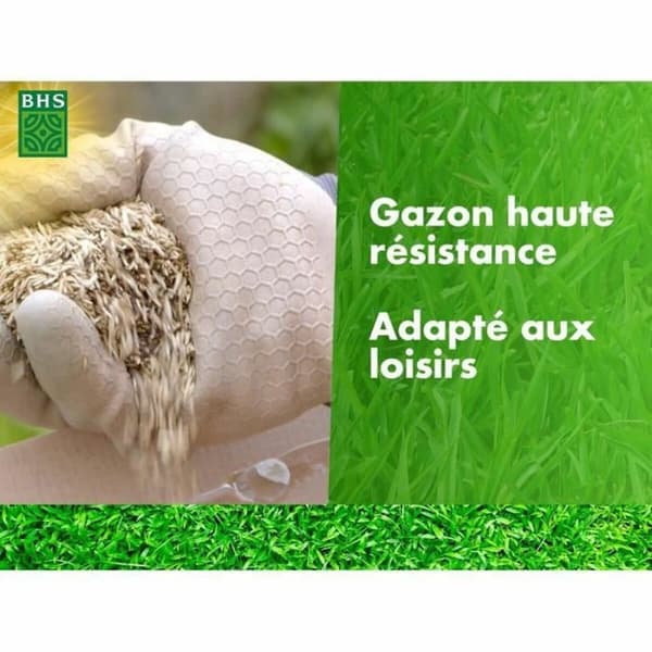 Frön BHS 10 kg