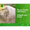 Miniatyrbild 3 av 3: Frön BHS 10 kg