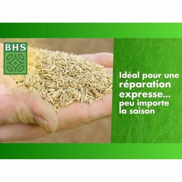 Siemenet BHS 1 kg