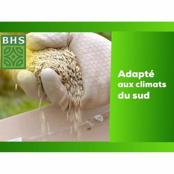 Frön BHS 1 kg