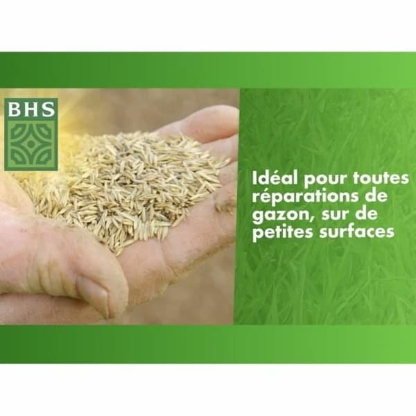 Siemenet BHS 500 g