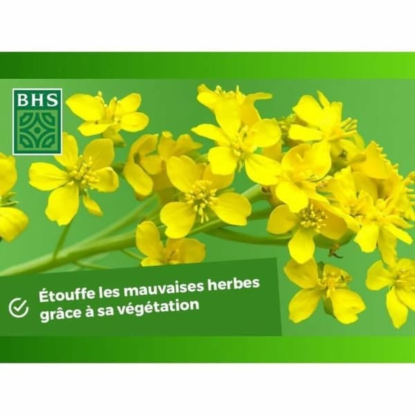 Kasvilannoite BHS 500 g