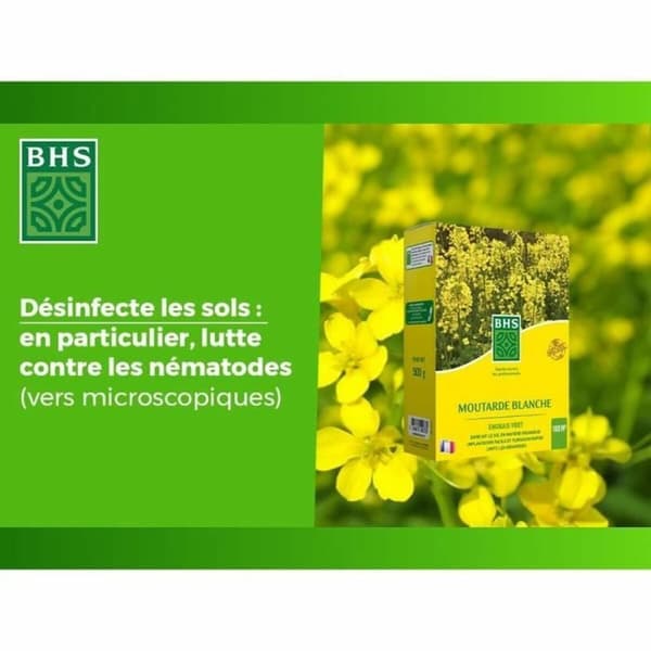Kasvilannoite BHS 500 g