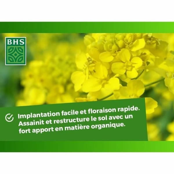 Kasvilannoite BHS 500 g