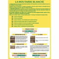 Pikkukuva 2 / 6: Kasvilannoite BHS 500 g