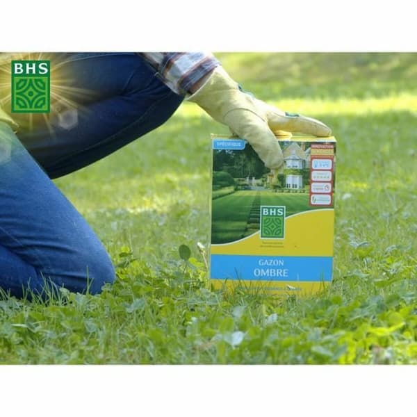 Siemenet BHS 1 kg