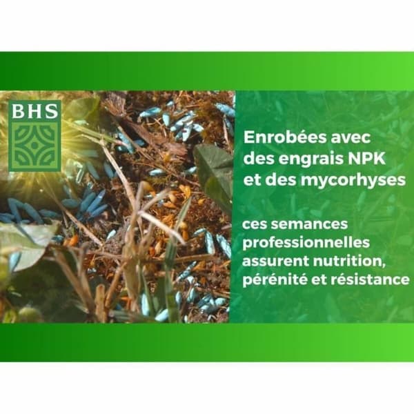 Siemenet BHS 3 Kg