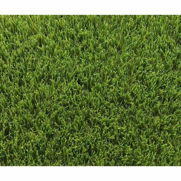 Ruohomatto Exelgreen 1 x 5 m Vihreä 40 mm