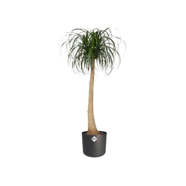 ELHO B.til blød rund urtepotte - sort - Ø 35 x H 32 cm - Indendørs - 100% genbrugt