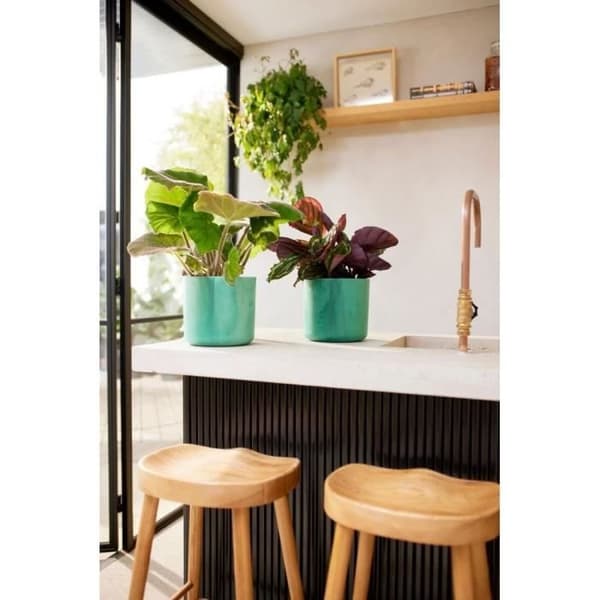 ELHO The Ocean Collection Rund Urtepotte 22 - Grøn - Ø 22 x H 20 cm - Indendørs - 100% genbrugt