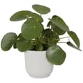 Miniatyrbillede 3 af 6: ELHO Vibes Fold Rund Urtepotte 30 - Hvid - Ø 30 x H 27 cm - Indendørs - 100% genbrugt
