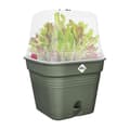 Miniatyrbillede 3 af 5: ELHO Green Basics Allin1 30 dyrkningspotte - Grøn - Ø 30 x H 25 cm - dyrkning og høst - 100% genanvendt