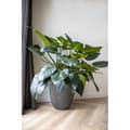 Miniatyrbillede 2 af 2: Elegant lav vase - CAPI EUROPE - GROOVE NL - 34 x 46 cm - Antracit