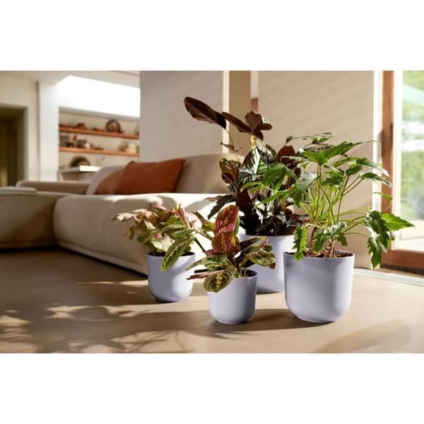 Urtepotte - Elho - Jazz Rund - Lilla - L 35 x B 34,5 x H 32 cm - Indendørs - 100% genbrugt