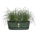 Pikkukuva 3 / 4: ELHO - Kukkaruukku - Greenville Easy Balcony 52 - Lehdenvihreä - Parveke - P 21,2 x L 52 x K 19,4 cm