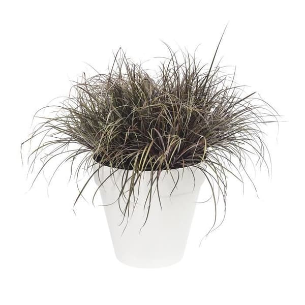 ELHO Loft Urban Rund Blomsterpotte med Hjul - Ø 40 cm - Hvid