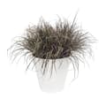 Miniatyrbillede 2 af 3: ELHO Loft Urban Rund Blomsterpotte med Hjul - Ø 40 cm - Hvid