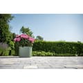 Miniatyrbillede 4 af 4: Potte med vandreserve - GARDEN ID Respect - Verdigris 30 x 30 cm - 100% husholdningsaffald - 100% genanvendelig - Struktureret overflade.