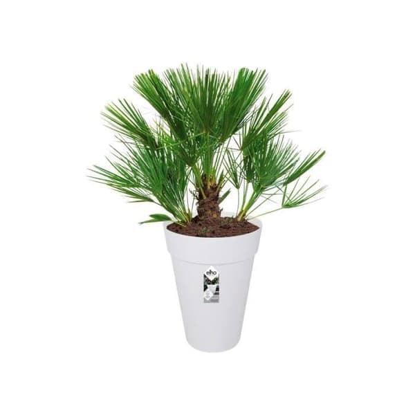 ELHO Loft Urban Rund Urtepotte Høj 42 - Hvid - Ø 42 x H 56 cm - Udendørs - 100% genbrugt
