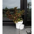 Miniatyrbild 2 av 2: Självbevattnande kruka - GARDEN ID Glamour - Vit 40 cm - Kornig yta - Inomhus/utomhus - Snygg design.