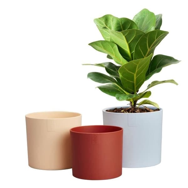 Urtepotte - Elho - Lex Pott - Sæt 14 - Blå Pink Orange - L 14 x B 13,8 x H 12 cm - Indendørs - 100% genbrugt