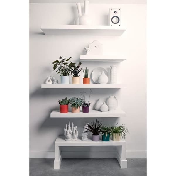 Urtepotte - Elho - Lex Pott - Sæt 14 - Blå Pink Orange - L 14 x B 13,8 x H 12 cm - Indendørs - 100% genbrugt