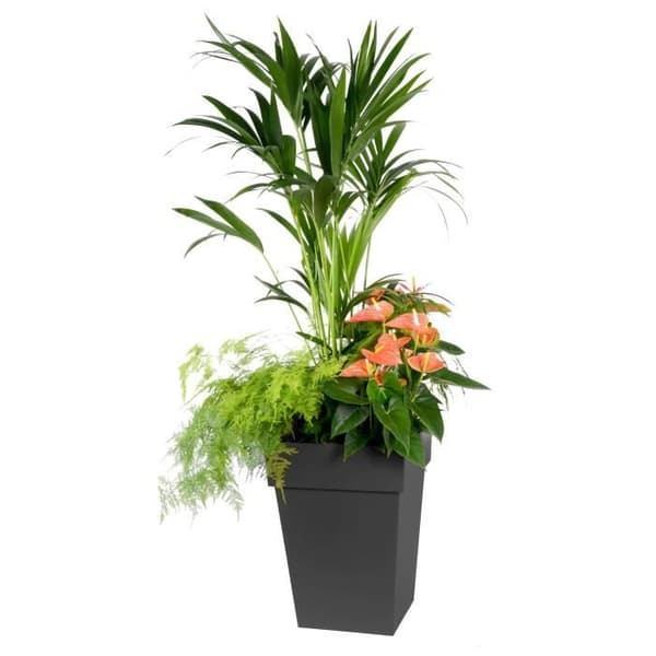 EDA Tuscany fyrkantig medelhög blomkruka - 39 x 39 x H 53 cm - 51 L - Antracitgrå