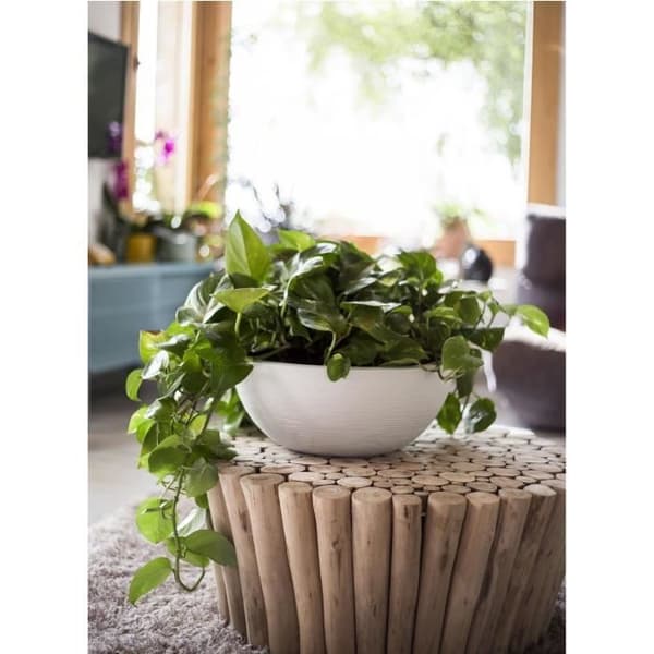 EDA Graphit Up Rund Blomsterpotte 14,9 L - Hvidkalket - Ø 40 cm