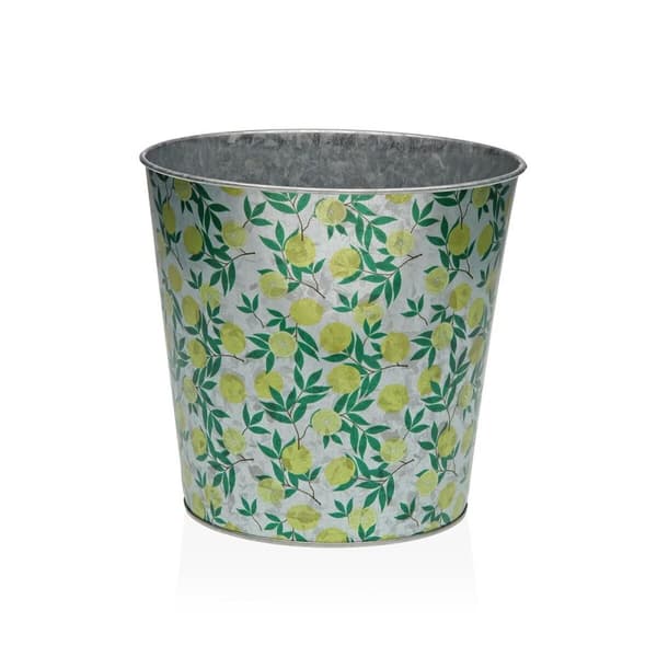 Kasvit Versa XL Metalli Minimalistinen 16,5 cm