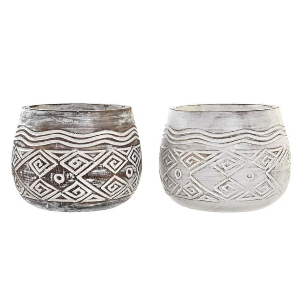 Kasvit DKD Home Decor Ruskea Valkoinen (2 osaa) (22 x 22 x 16 cm)
