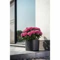 Miniatyrbilde 4 av 4: Planter Garden ID Respect Svart 20 x 20 cm