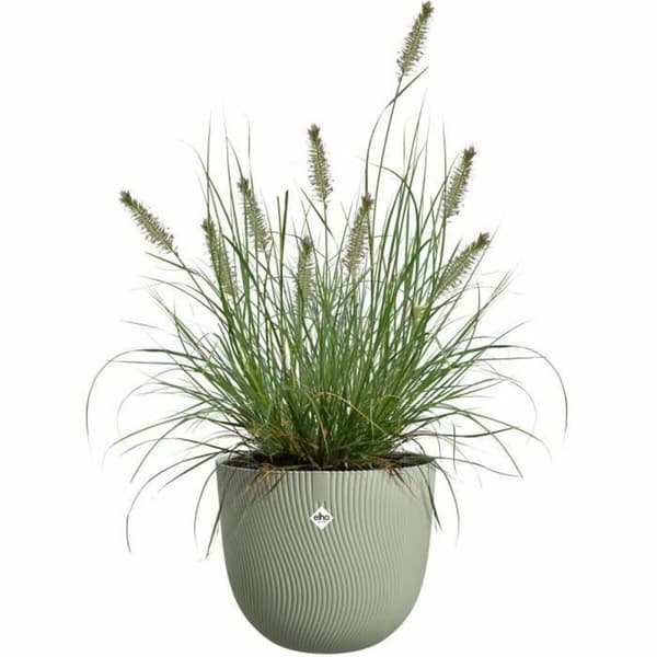Dekorative Pongponger Elho Sereh Rond 40 Grønn 39 x 33 cm