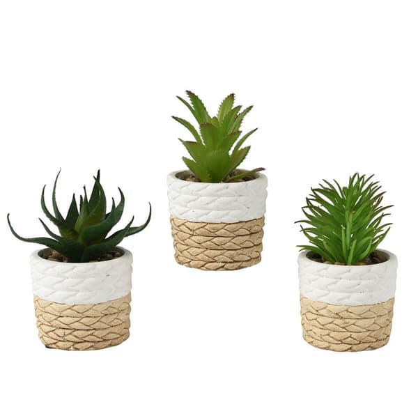 Planter Everlands Plast