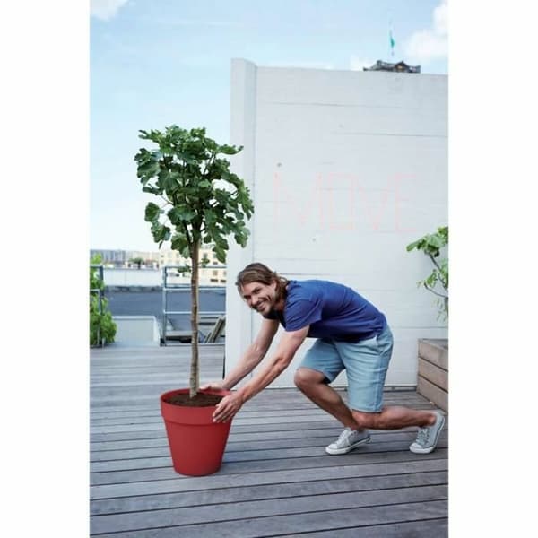 Dekorative Pongponger Elho