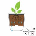 Miniatyrbilde 3 av 6: Dekorative Pongponger EDA
