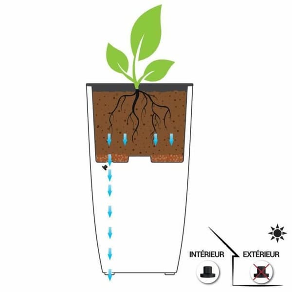 Dekorative Pongponger EDA