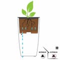 Miniatyrbilde 4 av 6: Dekorative Pongponger EDA