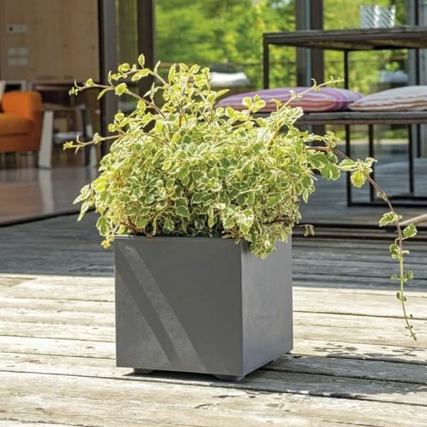 Urtepotte Deroma Antracit 25 cm Plastik Firkantet Spand Ø 25 cm