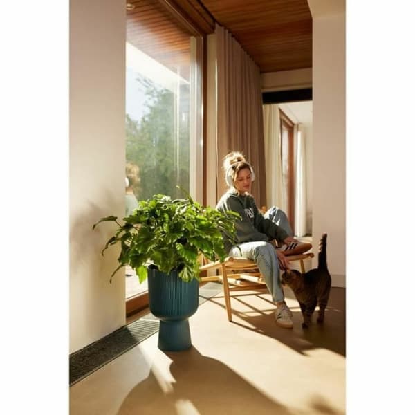 Dekorative Pongponger Elho