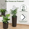 Miniatyrbilde 3 av 4: INF Sett med 4 plantestøttepinner for klatreplanter