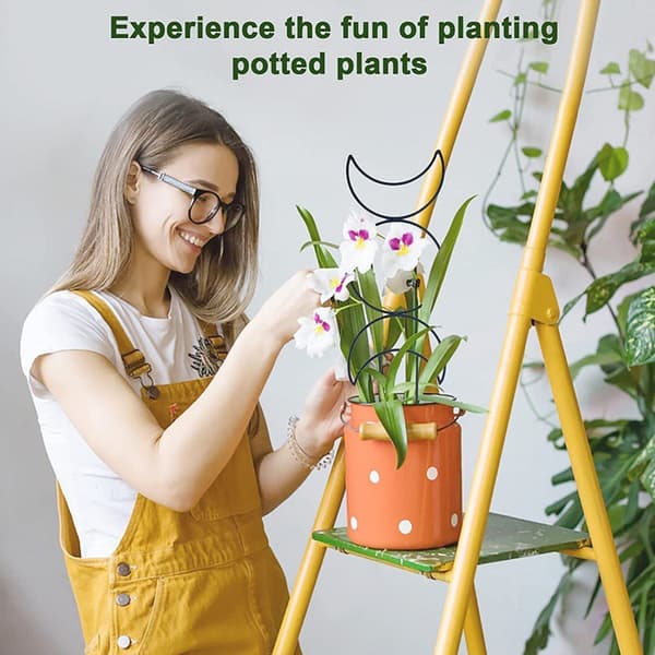 INF Sett med 4 plantestøttepinner for klatreplanter