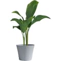 Miniatyrbild 3 av 3: Blomkruka - TRÄDGÅRD ID - Green Care Sense Blå sten - 50 x 41 cm - 10 års garanti - 100 % återvunnet - UV- och frostbeständighet