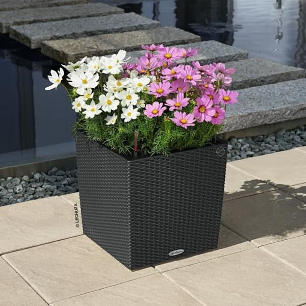 Planteringskärl - Kubstuga 40 - Komplett kit - Granit - 31 L - LECHUZA