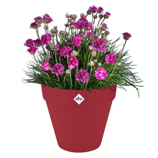 Blomkruka - Elho - Loft Urban Round - Hjul 40 - Röd - L 39 x B 38,5 x H 35 cm - Utomhus - 100% återvunnen